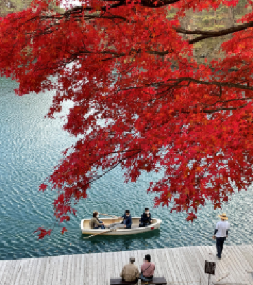 福岛县游记图文-随心所欲的福岛美食+自然探险旅行走起～