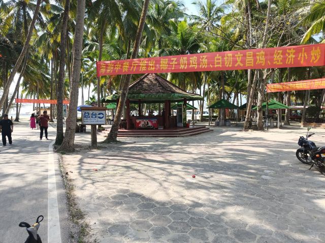 东郊椰林风景名胜区旅行图片 1