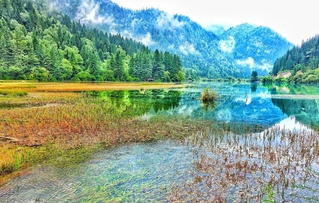 箭竹海下车点旅行图片 1