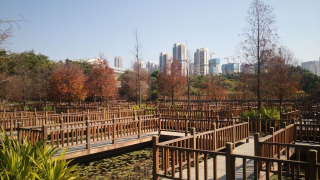 五缘湾湿地公园旅行图片 1