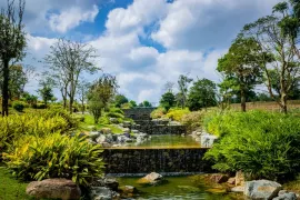 1-Day Danzhou Tour: Natural Wonders and Underground Marvels, Tropical Botanical Garden Exploration