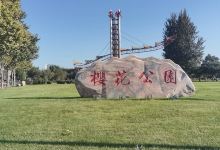 樱花公园景点图片