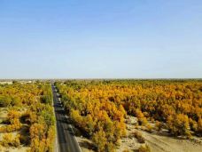 塔里木沙漠公路-且末-无极