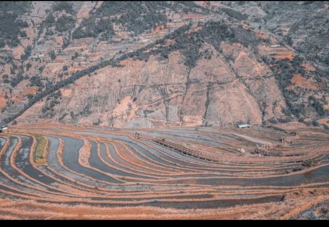 新山梯田旅行图片 1