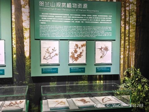 贺兰山自然博物馆