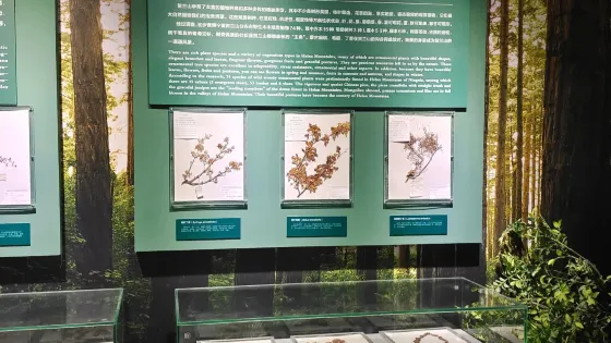 賀蘭山自然博物館
