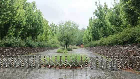 廣利河森林濕地公園