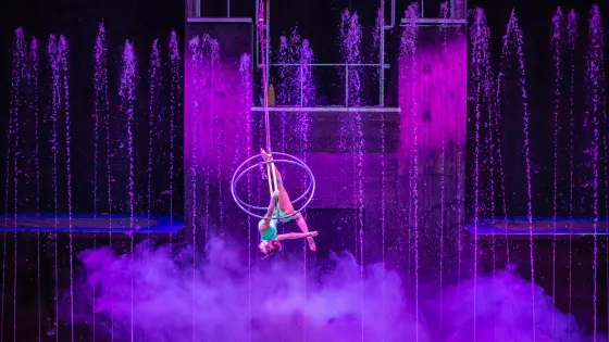 Jeju Water Circus