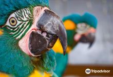 Animal World & Snake Farm Zoo景点图片