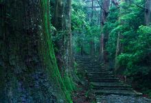 熊野古道景点图片