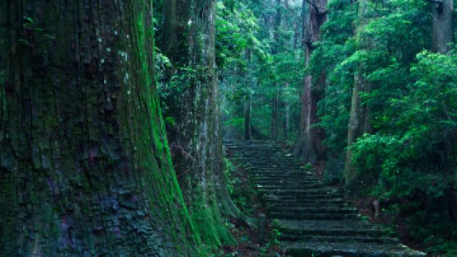 熊野古道