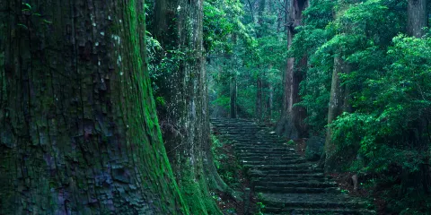 熊野古道