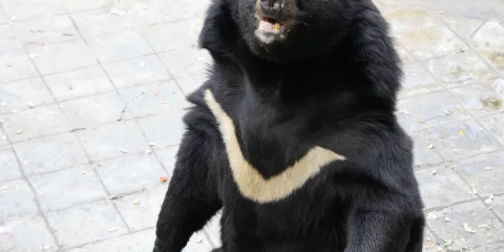 攀枝花公園動物園