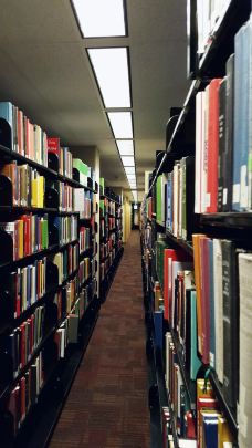 斯坦福大学-斯坦福-Mario and Luigi