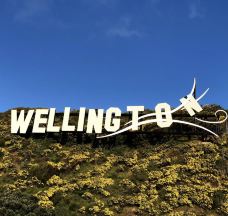 Wellington Sign-惠灵顿-铨上风满楼