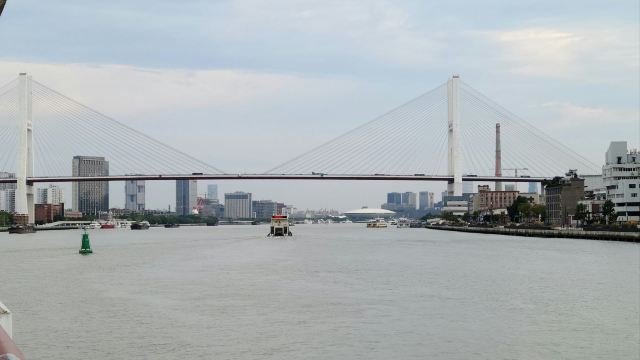 大桥公园旅行图片 3