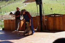 瓦尔特峰高原农场-皇后镇