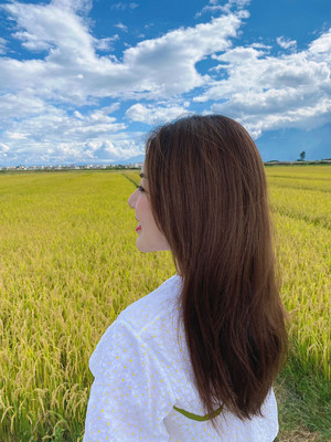 大理故事:旅行是一场治愈的过程