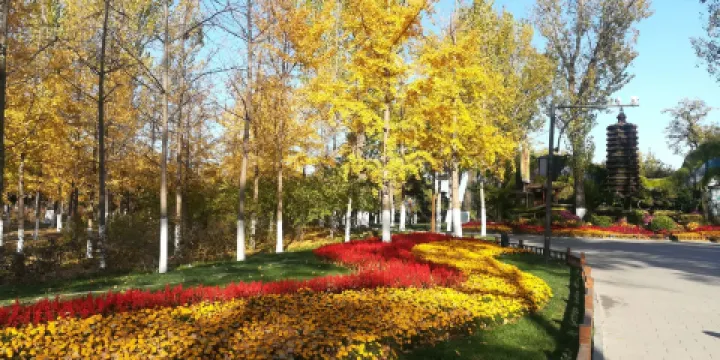 大運河森林公園