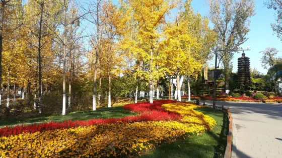 大運河森林公園