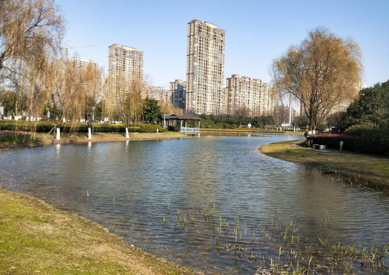 普惠公园,冬季萧条的城市公园