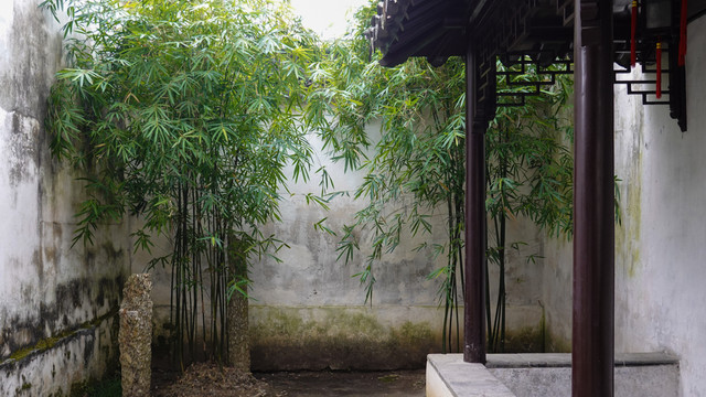 如何优雅的在苏州过周末?园林和博物馆一个都不能少