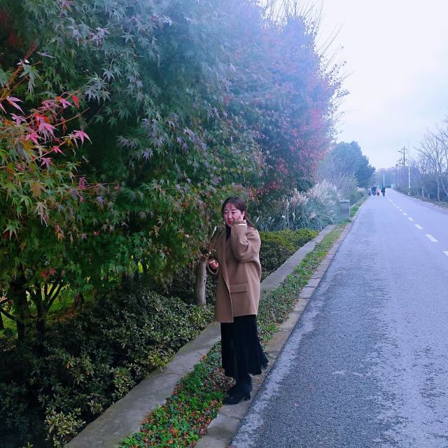 龙泉国家森林公园旅行图片 1