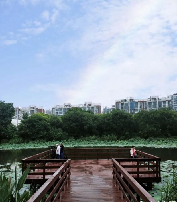 新江湾城公园旅行图片 2