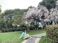 翠竹公园-常州-YoYo_0U9H9C1K