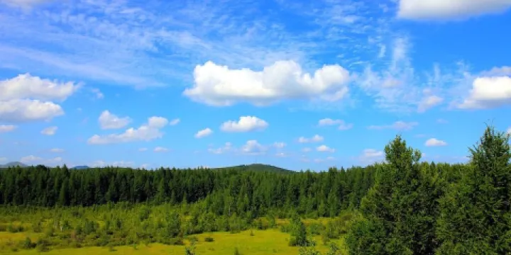 神龍潭風景區-滑草場