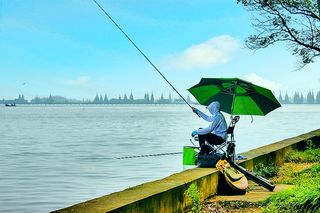 淀山湖有一处“柳堤春晓”,是露营野餐的好地方,知道的人却不多