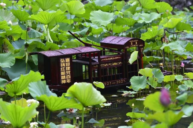 杨浦公园旅行图片 3