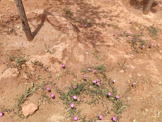 水墨丹霞，大自然的慷慨馈赠（3）——兰州5日（13）