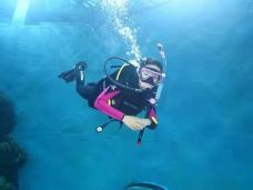 苏州海洋馆-苏州-小米饭0823