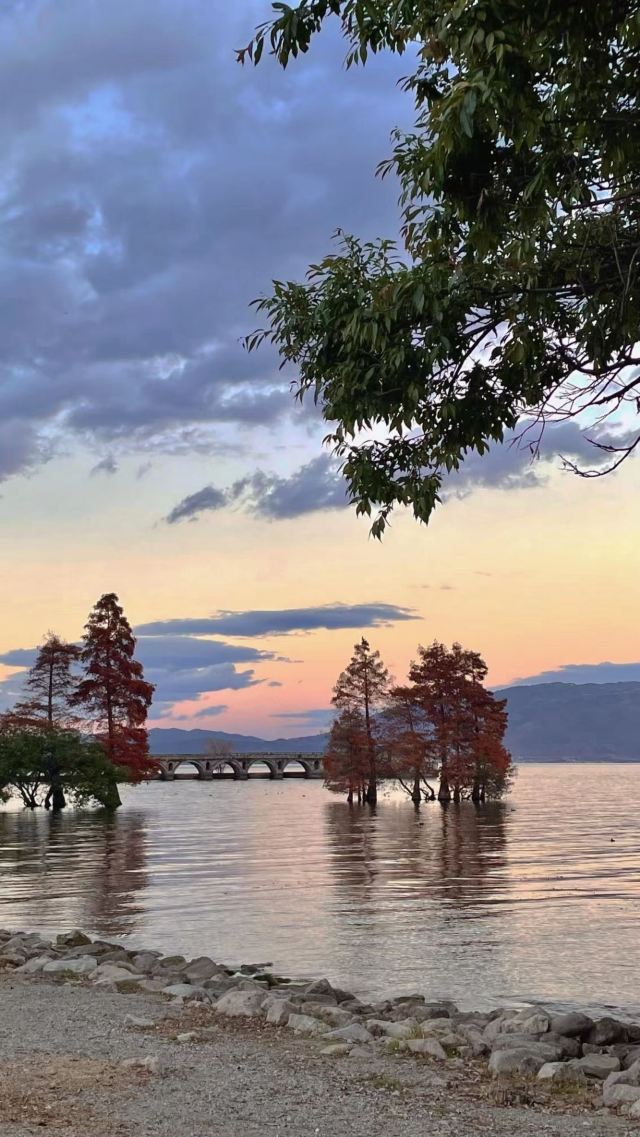洱海月湿地公园旅行图片 1