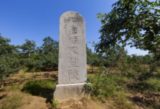 唐顺宗丰陵景点图片