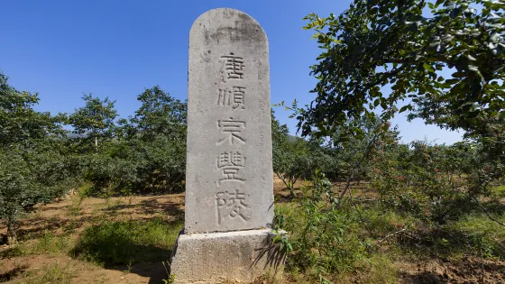 唐順宗豐陵