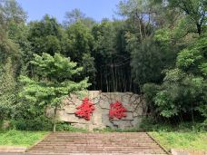 百里竹海-寿海景区-重庆-C-IMAGE