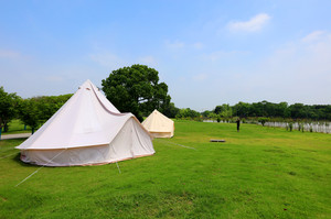 金山区游记图文-“足不出沪”之金山篇