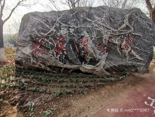 杨家河公园