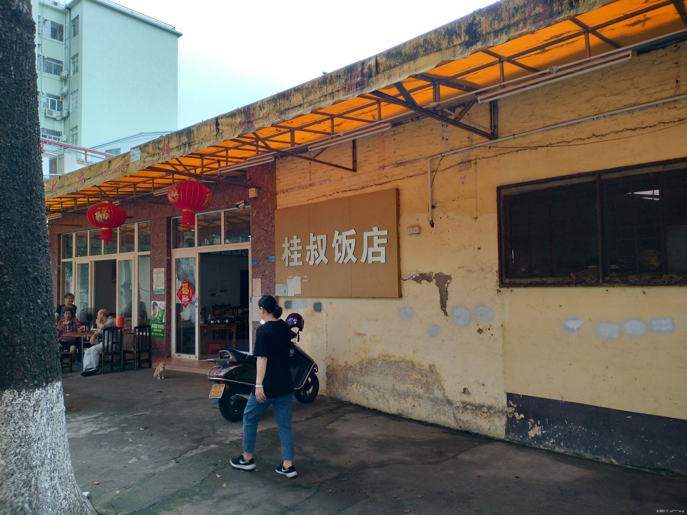 桂叔饭店·桑拿鸡·虾蟹焖鸡