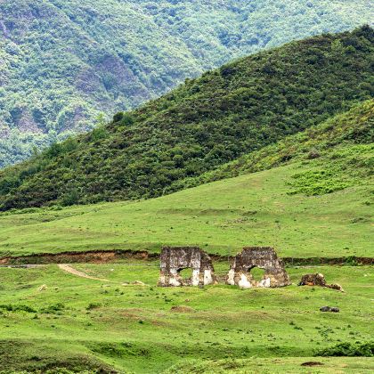 六盘水+妥乐古银杏+乌蒙大草原5日4晚私家团