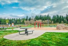 Community Park景点图片