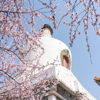 北京5日4晚跟团游