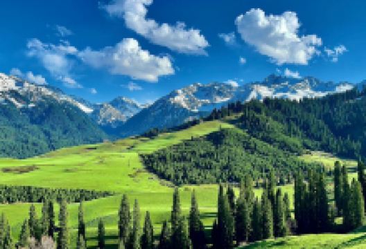 恰西森林公园景点图片