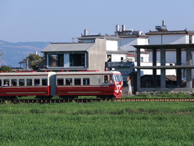 喜洲麦田小火车