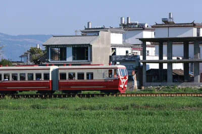 喜洲麦田小火车