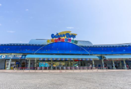 老虎滩海洋公园景点图片