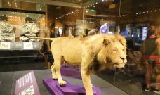 史密森博物馆-华盛顿-zhulei831230