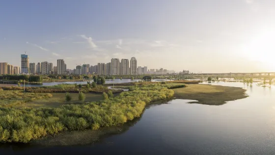 羣力國家城市濕地公園